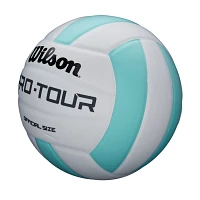 Wilson Pro Tour Indoor Volleyball