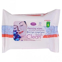 Cleansing Wipes 25PK