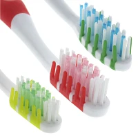 Brosse à dents (Couleurs assorties