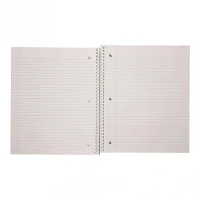 Spiral Notebook (Assorted Colours