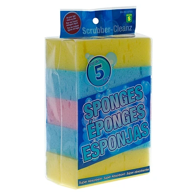 5Pk Rainbow Sponges