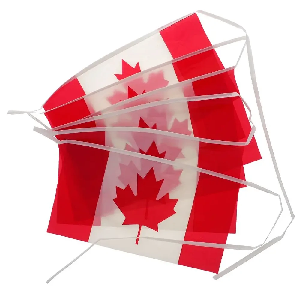 Banderole de drapeaux du Canada