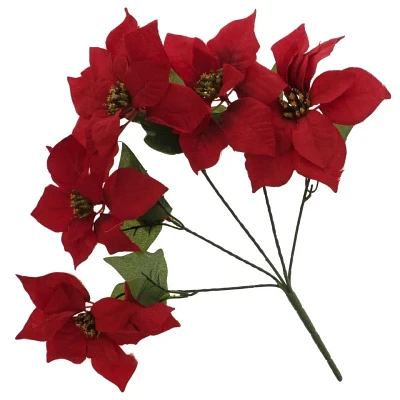 Poinsettia Christmas Flowers