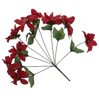 Poinsettia Christmas Flowers