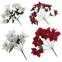 Poinsettia Christmas Flowers