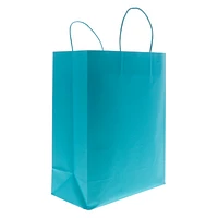 Kraft Paper Bags 2PK (Assorted Colours)