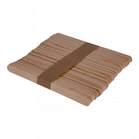 Craft Sticks 100PK