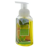 Foaming Handwash (Assorted Scents)