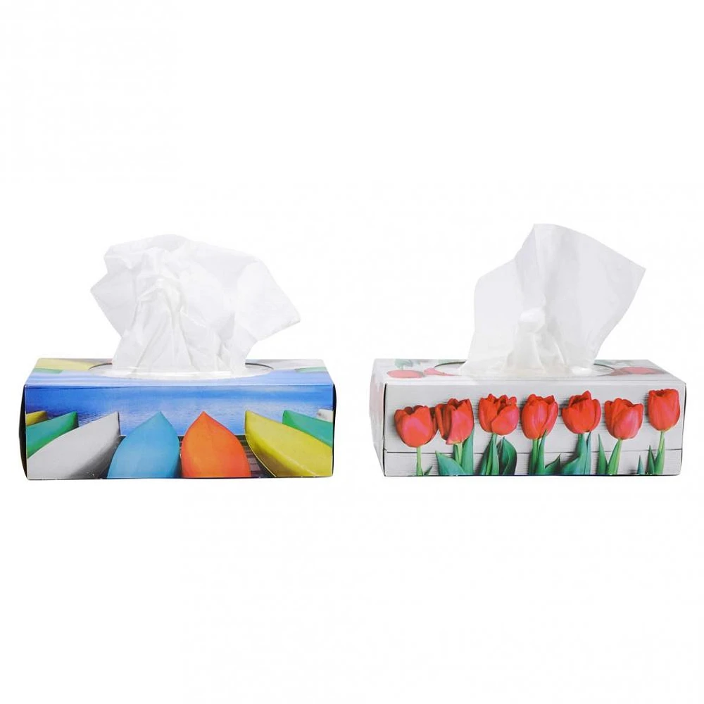 Tissues 100PK (Assorted Designs)