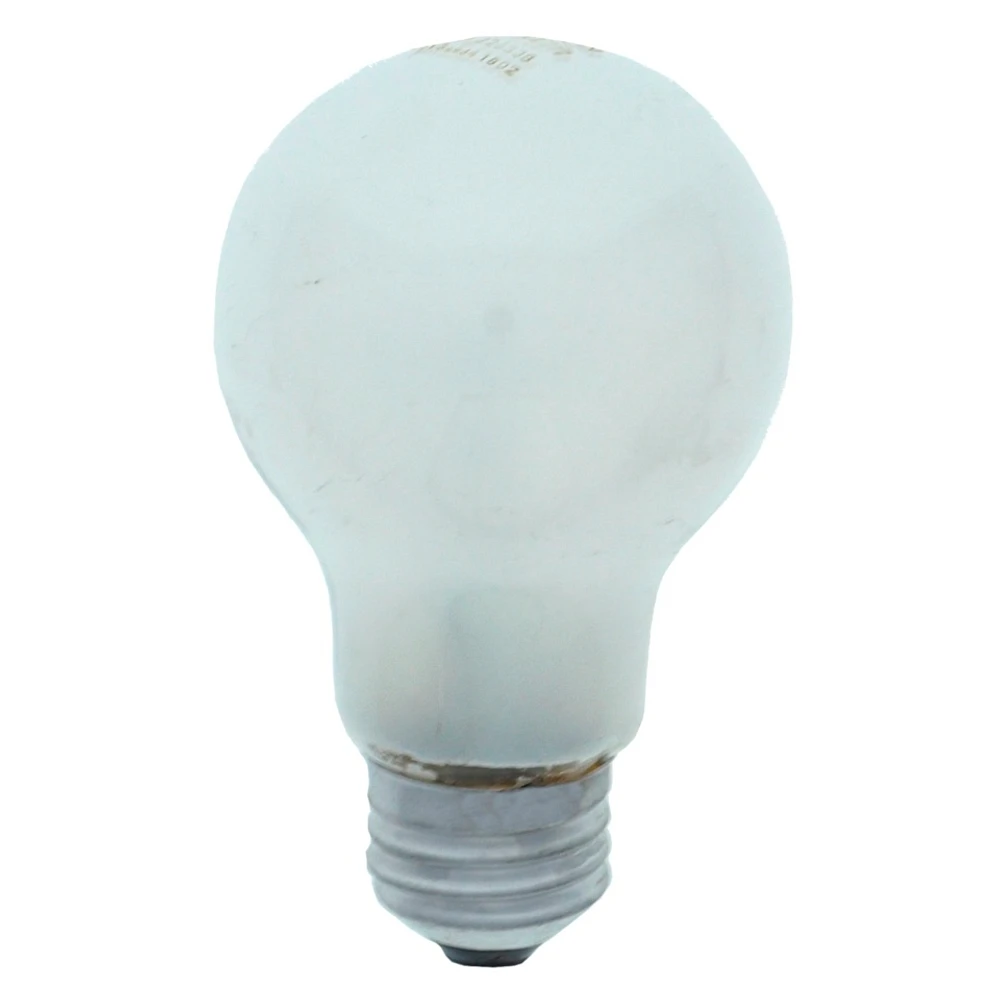 A19 60W Frosted Long Life Bulbs 2PK