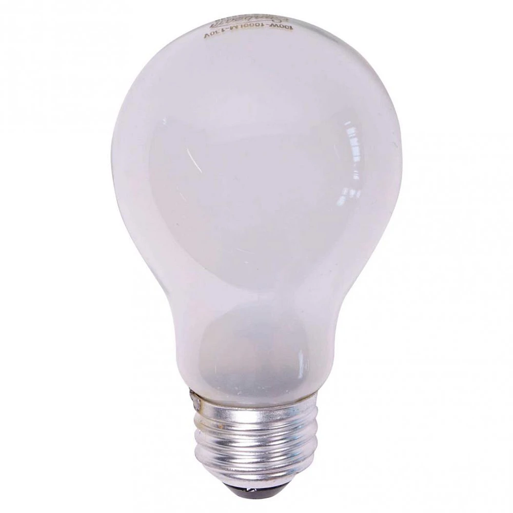 A19 100W Frosted Long Life Bulbs 2PK