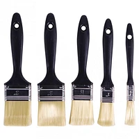 Professional Quality Paint Brushes Set