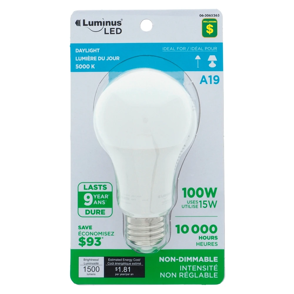 A19 100W LED Day Light Bulb
