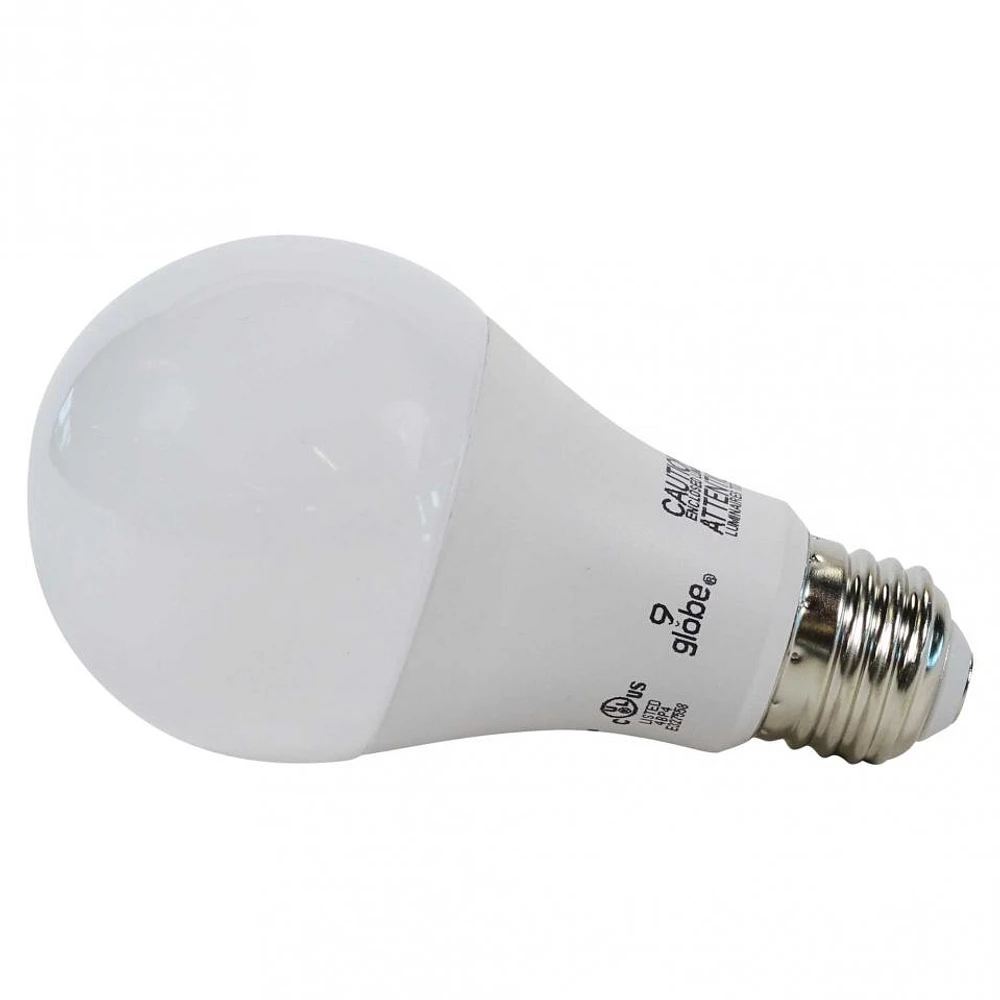 A19 100W LED Day Light Bulb