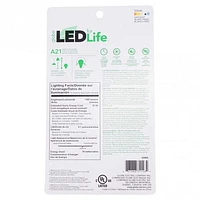 A19 100W LED Day Light Bulb