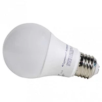 A19 60W LED Day Light bulb