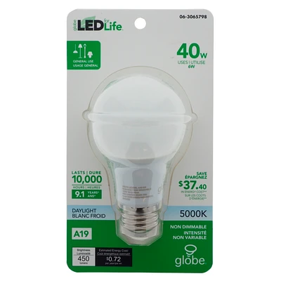 LED A19 40 Bulb 5000k - White