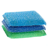 Scouring Pads