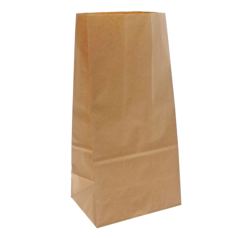 30PK Large Recyclable Paper Lunch Bags