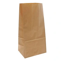 30PK Large Recyclable Paper Lunch Bags