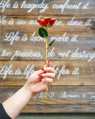 Real Rose Dipped in 24K Gold