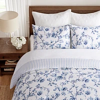 Anelle Comforter Set