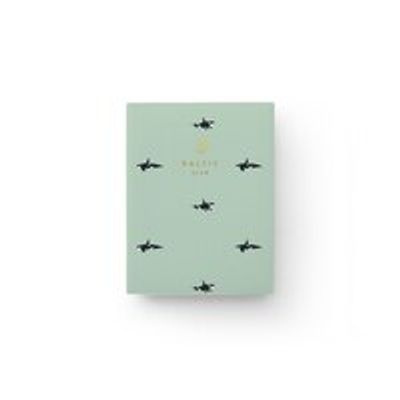 Orca Pocket Notebook