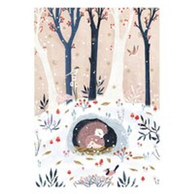 Boxed Cards - Hedgehogs