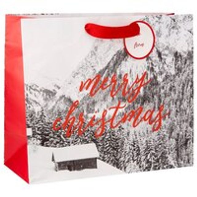 Extra Large Vogue Cabin Photo Bag