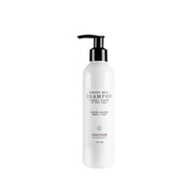 Matcha Mint Shampoo