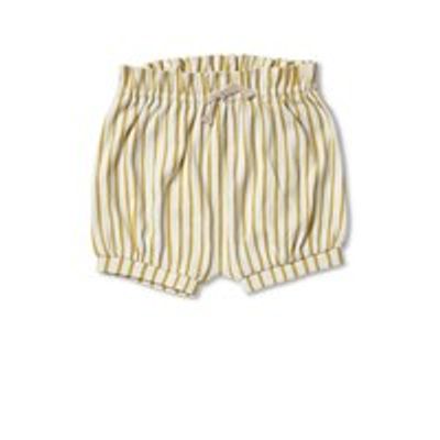 Pehr Stripes Away Bloomers - Marigold - 6 - 12 Months