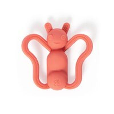Chew Teether, Social Butterfly