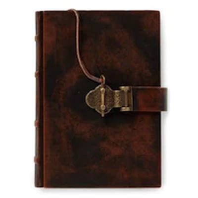 Bolt Leather Journal