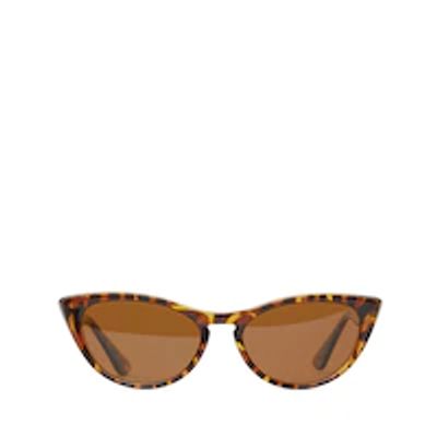 Amara Sunglasses, Brown