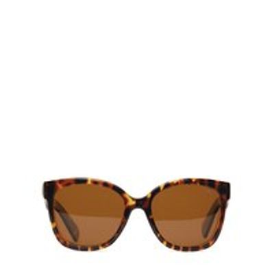 Clea Sunglasses, Brown