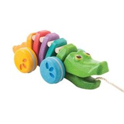 RAINBOW ALLIGATOR