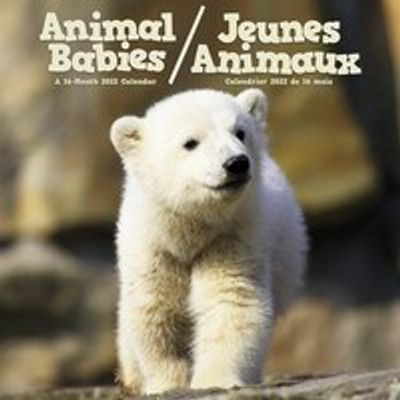 2022 Wall Calendar Animal Babies (Bilingual)