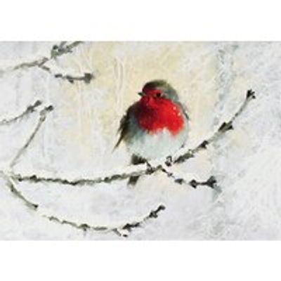 Holiday Boxed Cards Robin in Winter Set of 20