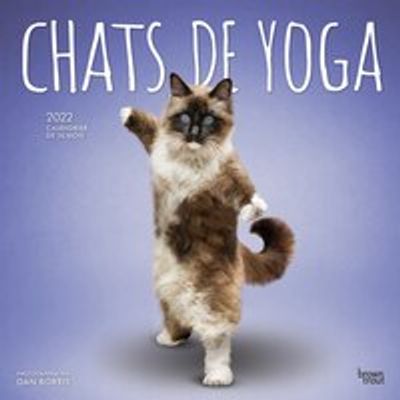 2022 WALL CALENDAR YOGA CAT (IN FRENCH)