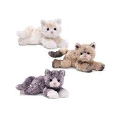 Bootsie Cat Assortment (Styles May Vary)