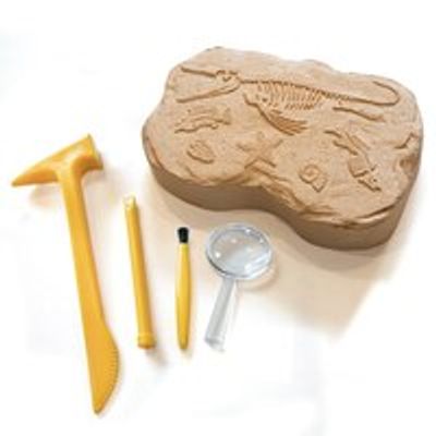 EI Geosafari Fossil Excavation Kit