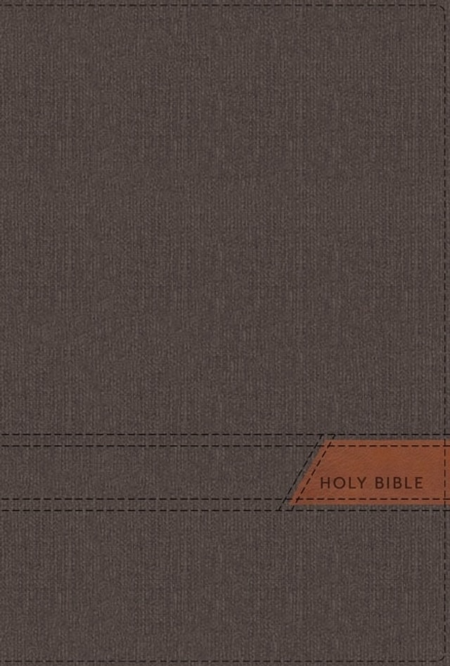 Niv Thinline Bible Large Print Cloth Flexcover Gray Red Letter Thumb Indexed Comfort Print by Zondervan, Paperback | Indigo Chapters