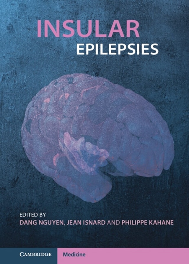 Insular Epilepsies by Dang Nguyen, Boxed Set/Slip Case/Casebound | Indigo Chapters
