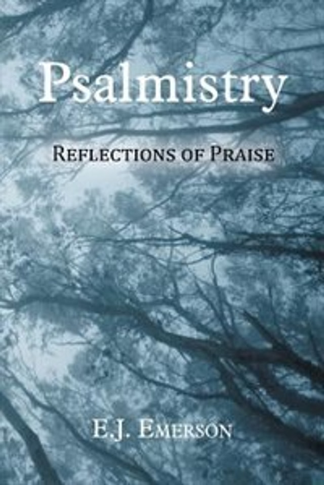 Psalmistry by E.J. Emerson, Paperback | Indigo Chapters