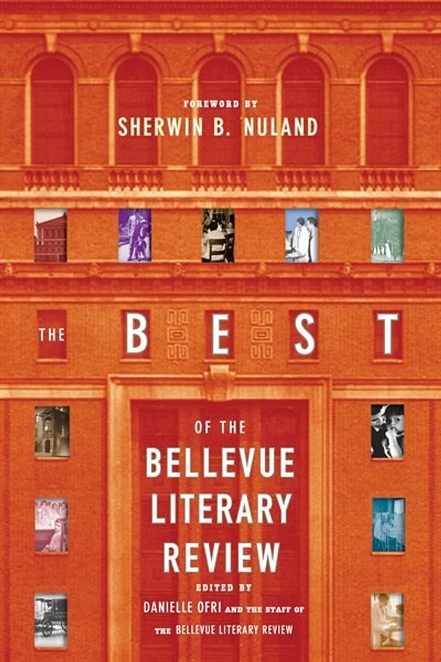 The Best of the Bellevue Literary Review by Danielle Ofri, Paperback | Indigo Chapters
