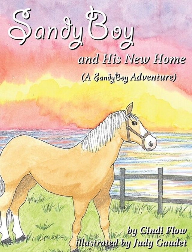 Sandyboy And His New Home (a Sandyboy Adventure) by Cindi Flow, Hardcover | Indigo Chapters