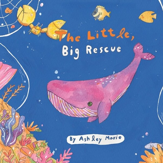 The Little Big Rescue by Ashley Marie, Paperback | Indigo Chapters