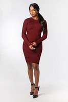 Ribbed Crew Neck Long Sleeve Bodycon Mini Dress