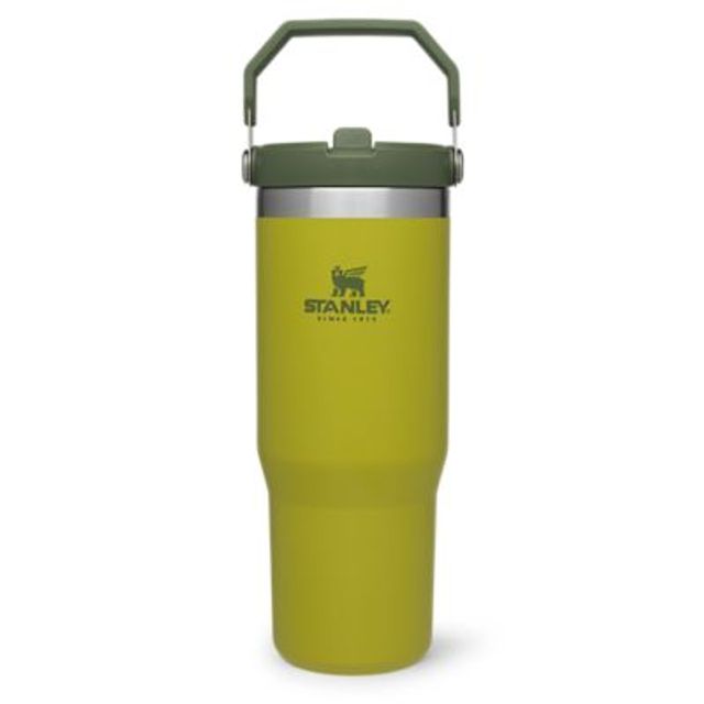 STANLEY The IceFlow 30 oz Flip Straw Tumbler - Eastern Mountain