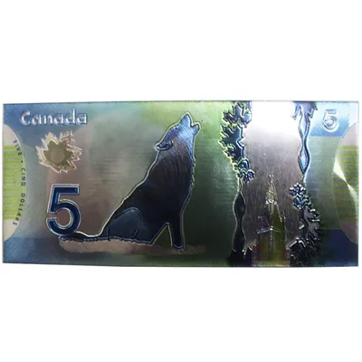 Fake Canadian Dollar Bill Magnet